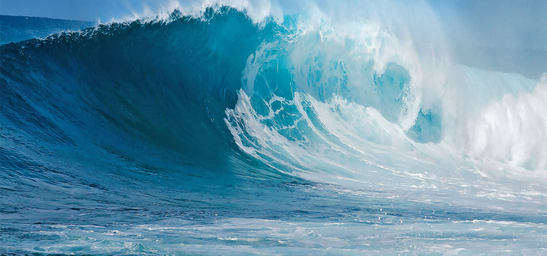 元含万象、万象008PG国际